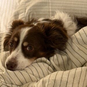 Meet your Posher, Nan